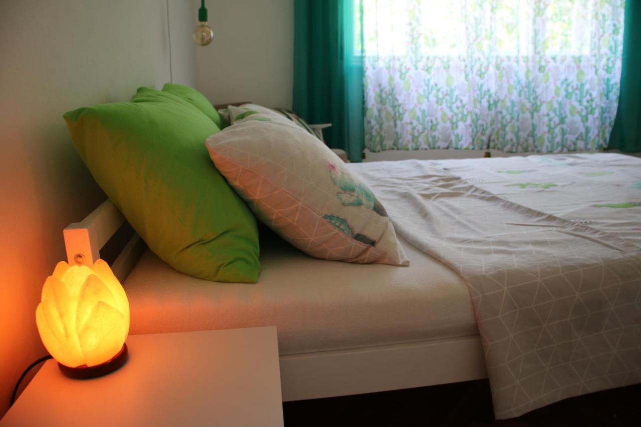Green Cactus Rooms - Unique And Cozy House Senta エクステリア 写真
