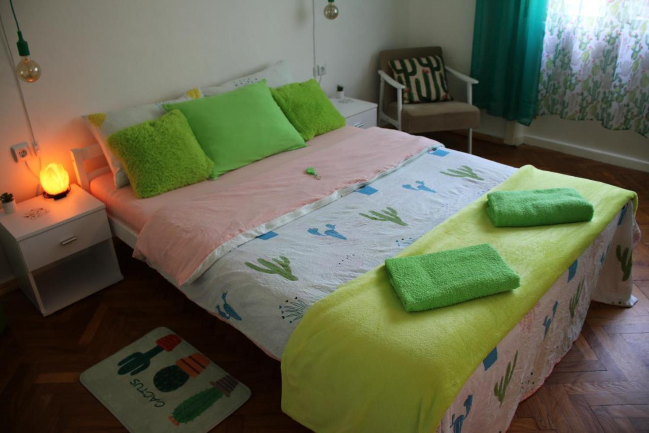 Green Cactus Rooms - Unique And Cozy House Senta エクステリア 写真