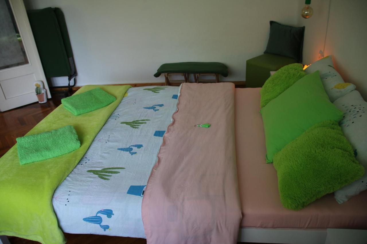 Green Cactus Rooms - Unique And Cozy House Senta エクステリア 写真